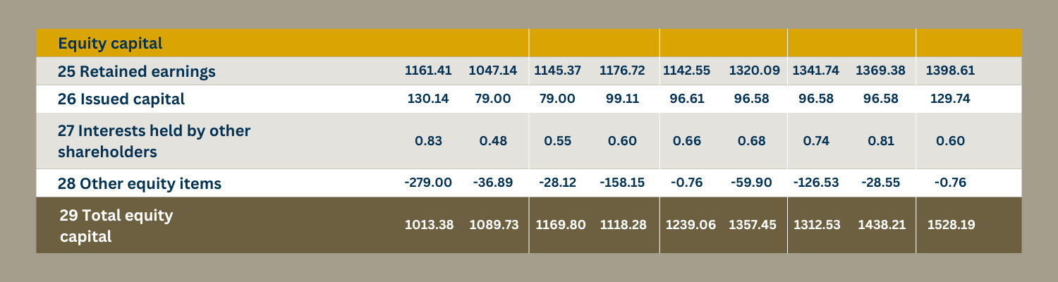 The image shows a table with data on equity. The table contains different rows with different types of equity and columns with different points in time. The figures in the table are probably financial ratios and show the value of equity at different points in time.