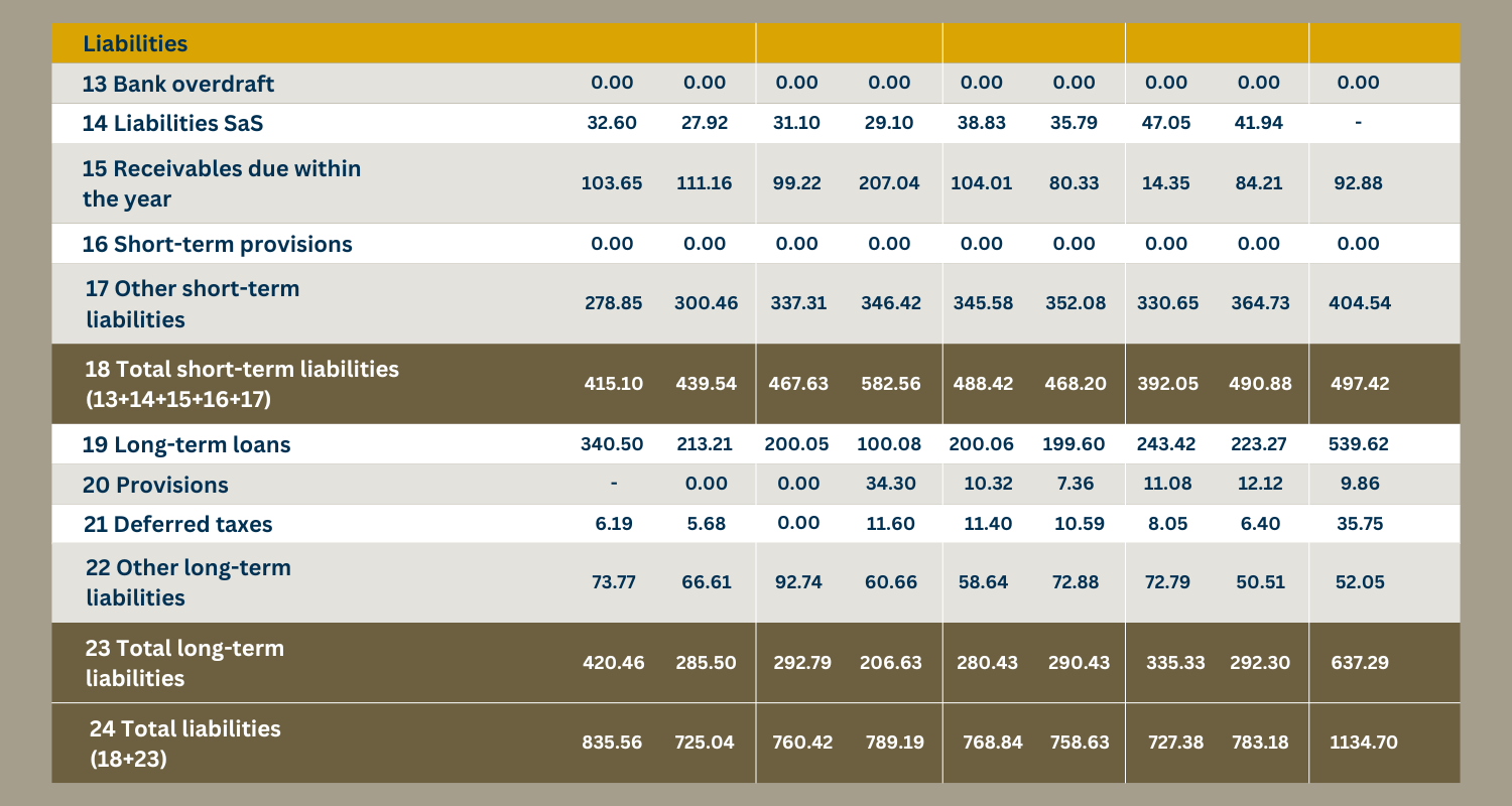 The image shows a table with information on a company's liabilities, such as current liabilities, non-current loans and provisions. The table contains data for the years 2014 to 2022.