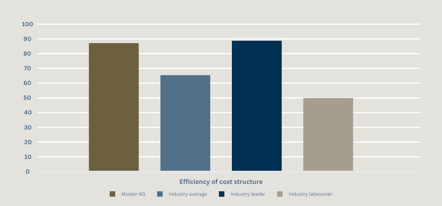 Representation of a bar chart, within a coordinate system, on the efficiency of the cost structure of Muster AG compared to the industry.